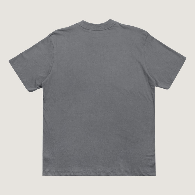 CAMISETA QIX STREET SKATE BEACH MESCLA
