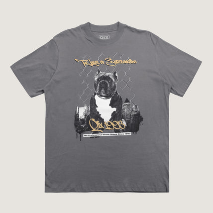 CAMISETA QIX STREET SKATE DOG MESCLA