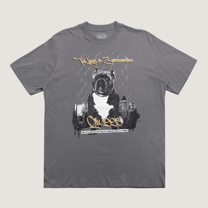 CAMISETA QIX STREET SKATE DOG MESCLA