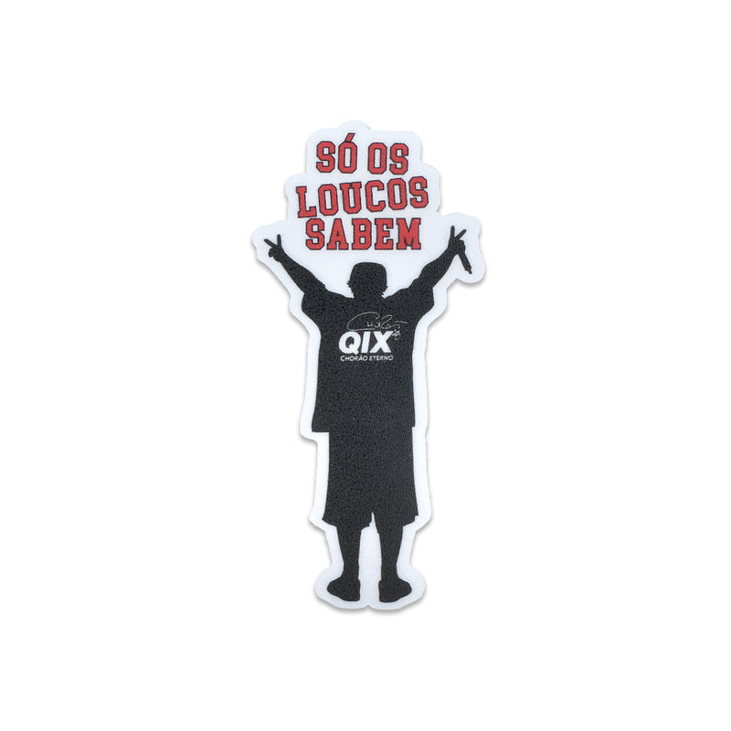 PACK ADESIVOS SORTIDOS "SÓ OS LOUCOS SABEM"