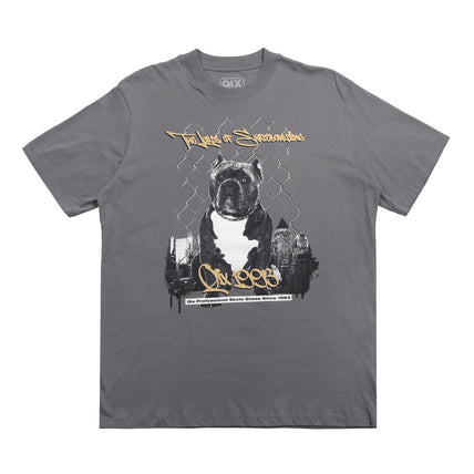 CAMISETA QIX STREET SKATE DOG MESCLA