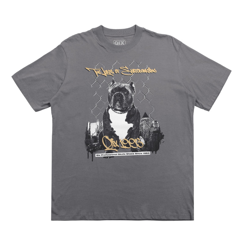 CAMISETA QIX STREET SKATE DOG MESCLA