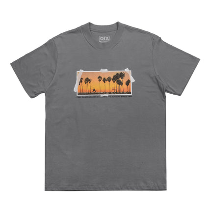 CAMISETA QIX STREET SKATE BEACH MESCLA